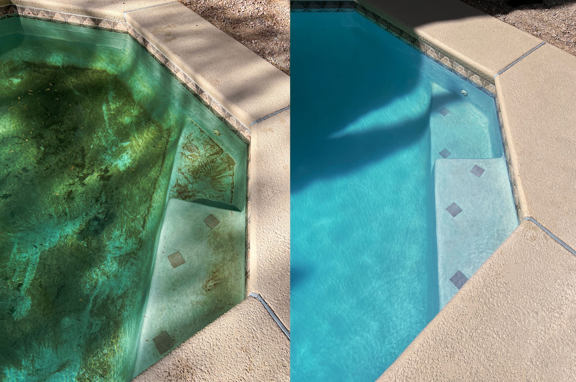 Swimming Pool Cleaning